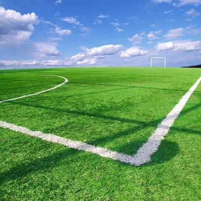 装飾OEM ODMを美化するためのフットボール競技場の総合的な人工的な草の反紫外線