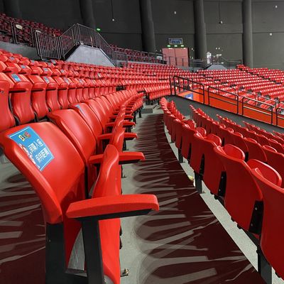 よい価格 修理されたプラスチック スポーツの競技場は反老化する縦の設置タイプをつける オンラインで