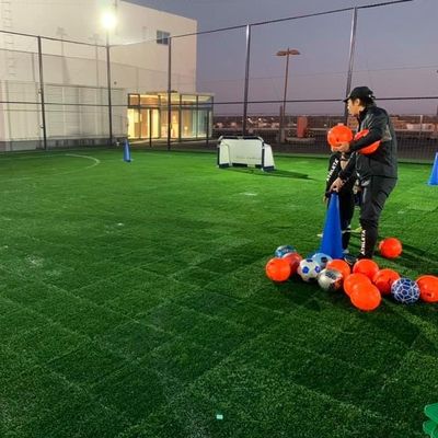 よい価格 反紫外線反老化する人工的な草45mmのスポーツの総合的な草50cmの× 50cm オンラインで