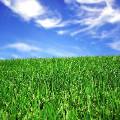 よい価格 フットボール裁判所のための50mmの美化の総合的な人工的な草 オンラインで