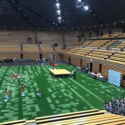 よい価格 サッカーのフットボールのスポーツ裁判所SGSの証明書のための45mmの高さの合成物質の人工的な草 オンラインで