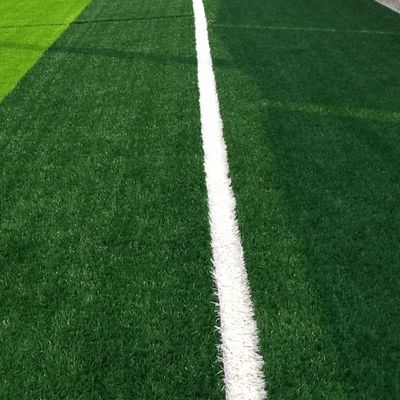 PE PP 人工草 ポリエチレンとポリプロピレン 糸 30mm 草の高さ