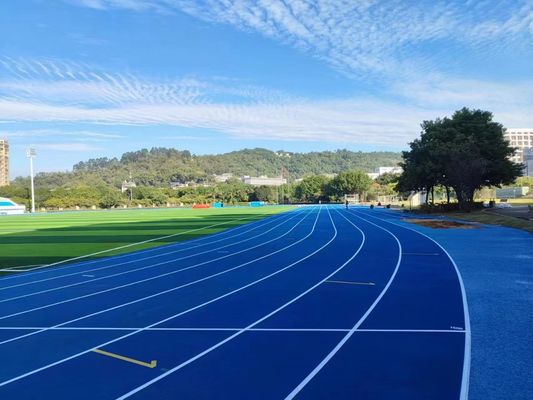 よい価格 簡単 に 設置 さ れ 天候 に 耐える ランニング ランニング トラック プロ の ため オンラインで
